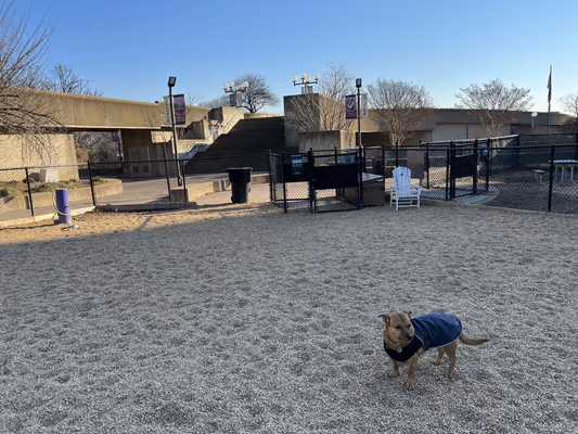 Dog Park at Fort Barnard Park